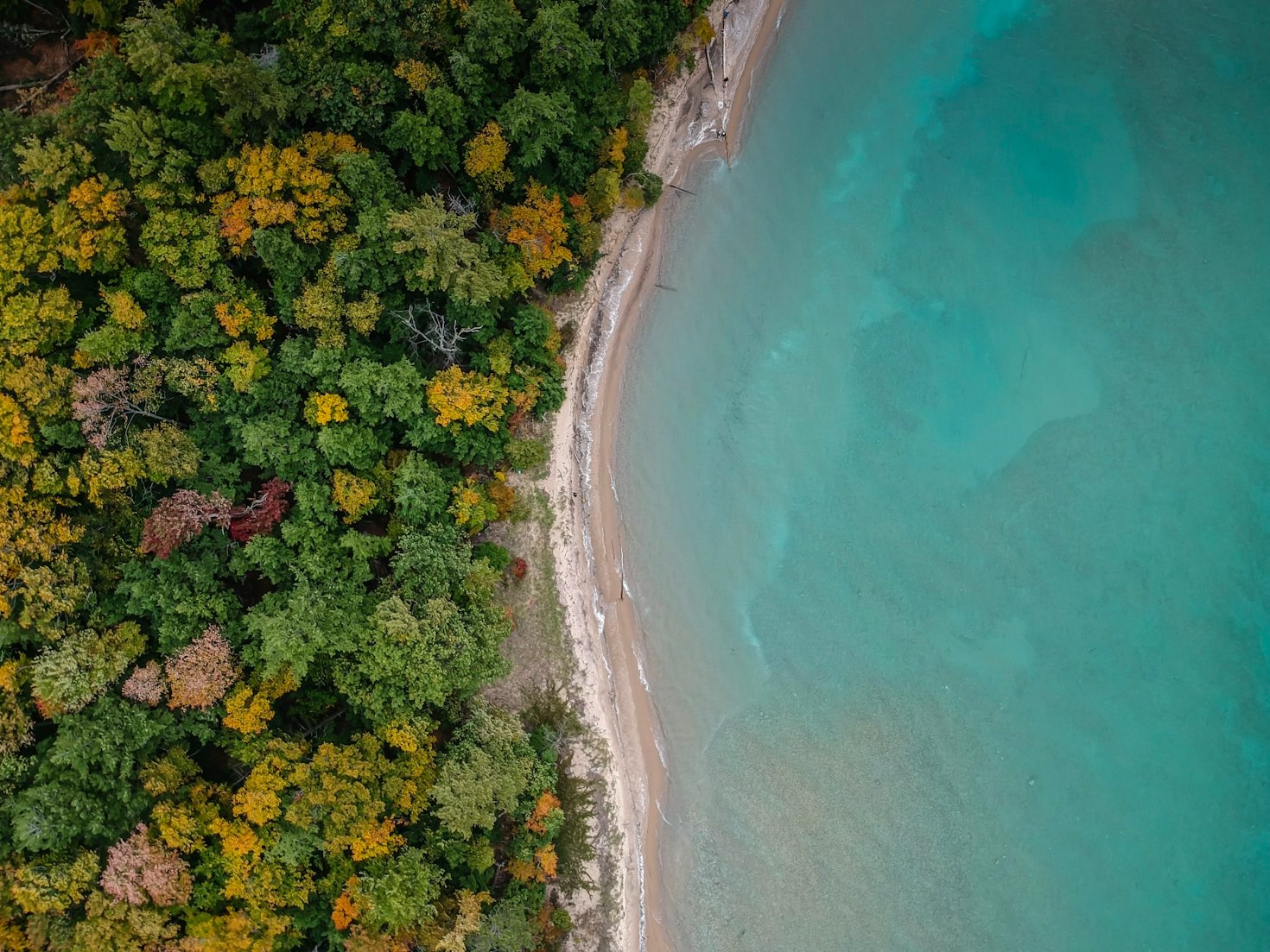 Best Coastal Destinations for Every Traveler