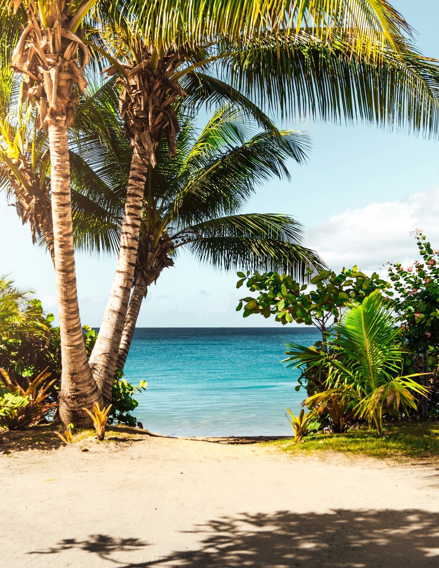 The Ultimate Guide to Island Hopping